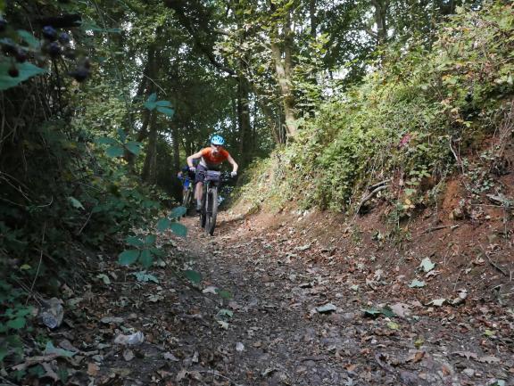 Experience Wye: woodland mountain bike loop